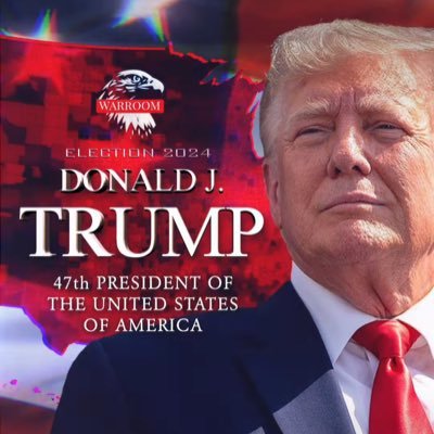 pnoyes0's profile picture. #TrumpWon #Decertify2020