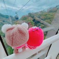 さえ (@sae_4811) Twitter profile photo