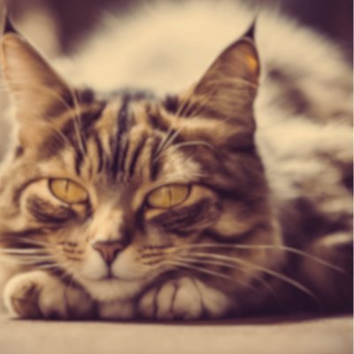 ryotingPapa's profile picture. Unity初学者。2児のパパ。