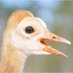 Scott Hereford (@biologistscott) Twitter profile photo Scott Hereford (@biologistscott) Twitter profile photo