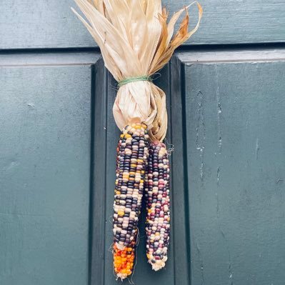 High School French Edu|Global Citizen|Risk Taker|Occasional Blogger| SC ASCD EL 23-24 | she/her/elle https://t.co/yskzecUfCl