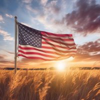 Ms. Freedom341 (@msfreedom41) 's Twitter Profile