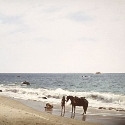 dan_bartell's profile picture. The world is dying a quiet death at the hands of self interest and apathy.