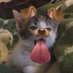 โจ้ะโจ้ะ (@kjswhbnp3830776) Twitter profile photo โจ้ะโจ้ะ (@kjswhbnp3830776) Twitter profile photo