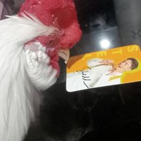 angelzky071781π (@angelzky071781) 's Twitter Profile Photo angelzky071781π (@angelzky071781) 's Twitter Profile Photo