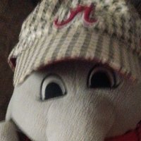 TracyBurns (@tracyburnsburn2) 's Twitter Profile