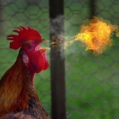 QueenOTheSout's profile picture. Roman 8:28