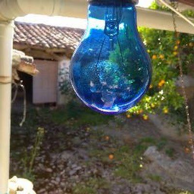 MariozzozZzoi's profile picture. 