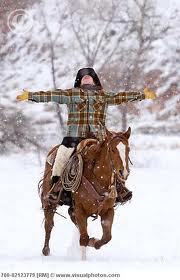 gdenton444's profile picture. tx native now living in Rockies this horse looks just like Sassy one of best horses I ever rode so calm coming into jumps i could jump anything