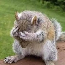 NatWhoCoInc's profile picture. 