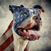 LUCKYSOB (@luckysob1) 's Twitter Profile