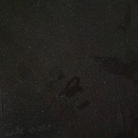 Lisa Johnson (@seabreeze303) 's Twitter Profile