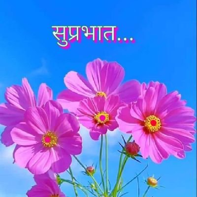 @Tulaja33129