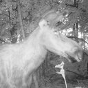 Garett Basnett - @BasnettGarett - Twitter