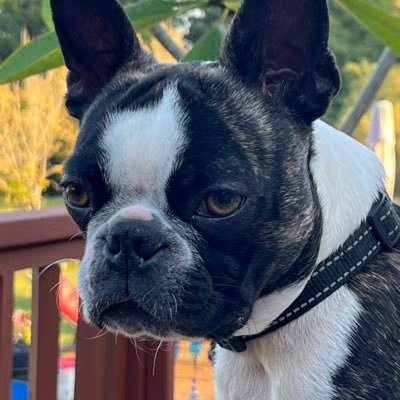 RhondaS22682352's profile picture. 