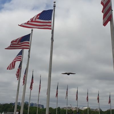 klemennn's profile picture. 