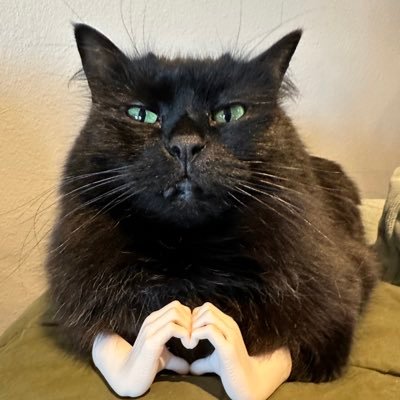 Pharmacist who loves bears. Has excellent glitter control. Roller Derby. Hungry celiac/crohny. The last mermaid-jedi-princess-ninja-pirate-unicorn. MN to AK.