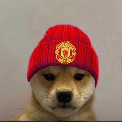functionalist0's profile picture. 