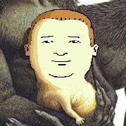 GROGLODYTE (@tyrannical_gg) 's Twitter Profile Photo GROGLODYTE (@tyrannical_gg) 's Twitter Profile Photo