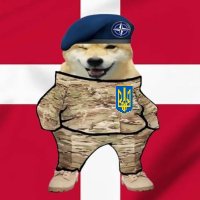 Not joining NATO is the embodiment of naivety! (@twittevitboom) 's Twitter Profile