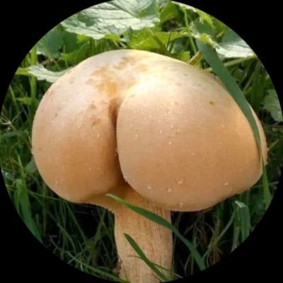 HLJK2000's profile picture. 