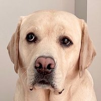 daisuke (@retdaisuke) 's Twitter Profile