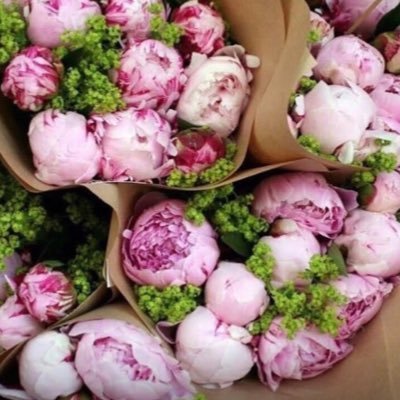 Hudson1906's profile picture. 