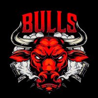𝗕𝘂𝗹𝗹 𝗖𝗿𝘆𝗽𝘁𝗼 𝗧𝗲𝗮𝗺 (@bulls_cryptotm) 's Twitter Profile Photo 𝗕𝘂𝗹𝗹 𝗖𝗿𝘆𝗽𝘁𝗼 𝗧𝗲𝗮𝗺 (@bulls_cryptotm) 's Twitter Profile Photo