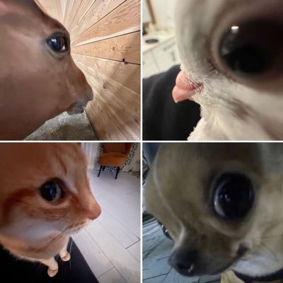 Chucky2777's profile picture. 