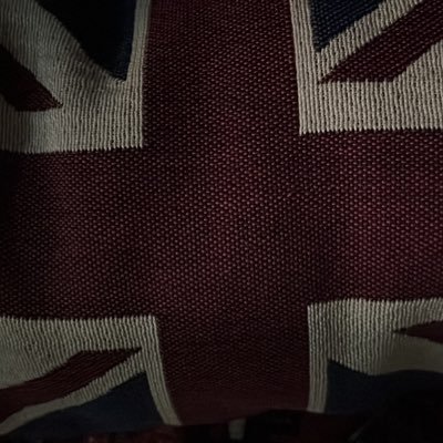 danipalazzol's profile picture. 