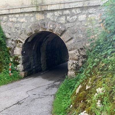 BertRebhandl's profile picture. tous parlent en même temps soy porque somos