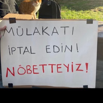 Ataması gaspedilen Okul Öncesi Öğretmeni