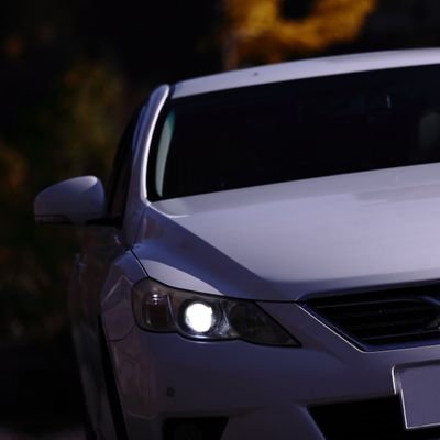 MFSPhoto1979's profile picture. 写真活動のことをメインにツイートしています。鉄道やウェディングを主として、旅行記事やイベント、企業団体の取材なども撮影します。撮影のご依頼はDMまでどうぞ。
※アップ画像の無断での転載・改変・複製・二次利用などを禁じます。無断利用が発覚した場合は割増利用料金を徴収します。また画像の無償提供はいたしません。