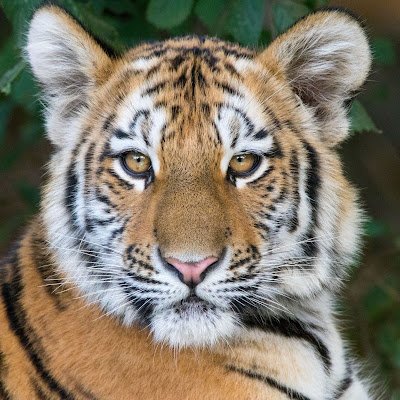 LichfieldT52774's profile picture. 