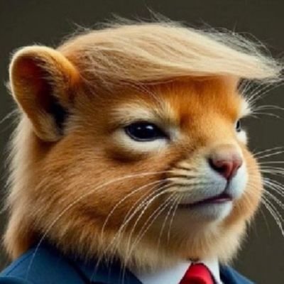 marbroru's profile picture. Colaborador de la NASA
Eco-fascista
Anti Globetrotter