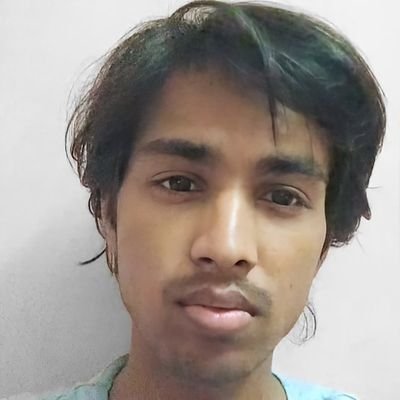 cereverse's profile picture. Singularity