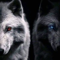 Amr (@amr3693) 's Twitter Profile