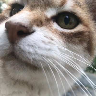 fK7iDfDX5D89090's profile picture. 