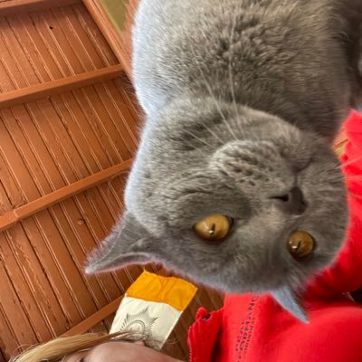 El____if's profile picture. keep the light burning 🪔