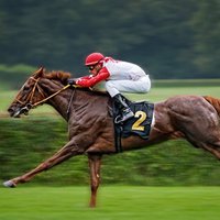 THE COLLECTOR -TODAY MATTERS (@marcooo1) 's Twitter Profile