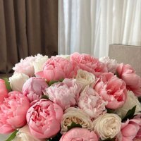 Shahad | شَهد (@s150_) 's Twitter Profile