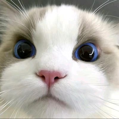 ruirui178347's profile picture. 