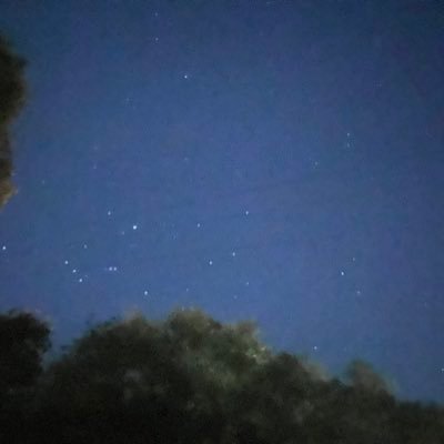 livingtherhythm's profile picture. Living easy, living free