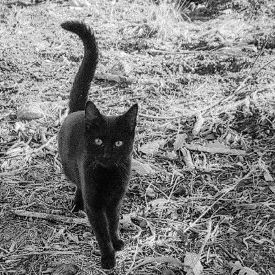 alexchr15's profile picture. Entrepreneur