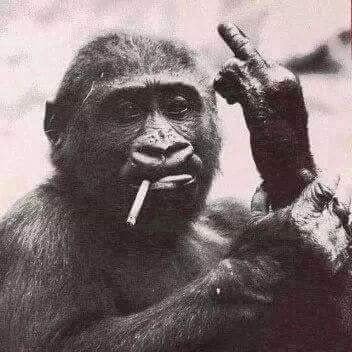 Naroidke's profile picture. 