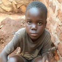 Lamin Gibba (@gibb93460) 's Twitter Profile