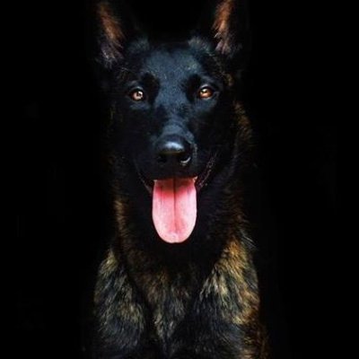 schwartz6579's profile picture. 