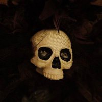 ππ genX dude 4 critical thinking ππ€ (@duncanthomasws) 's Twitter Profile