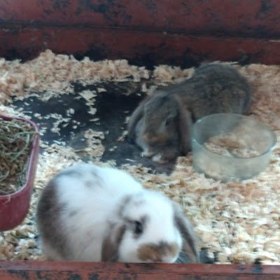 ValeryPulv37243's profile picture. 