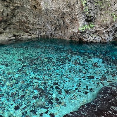 mgramajozannier's profile picture. 